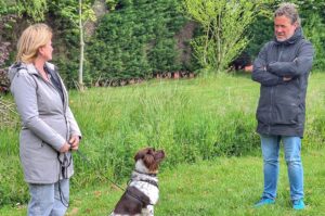 Coachen met Honden AAS2