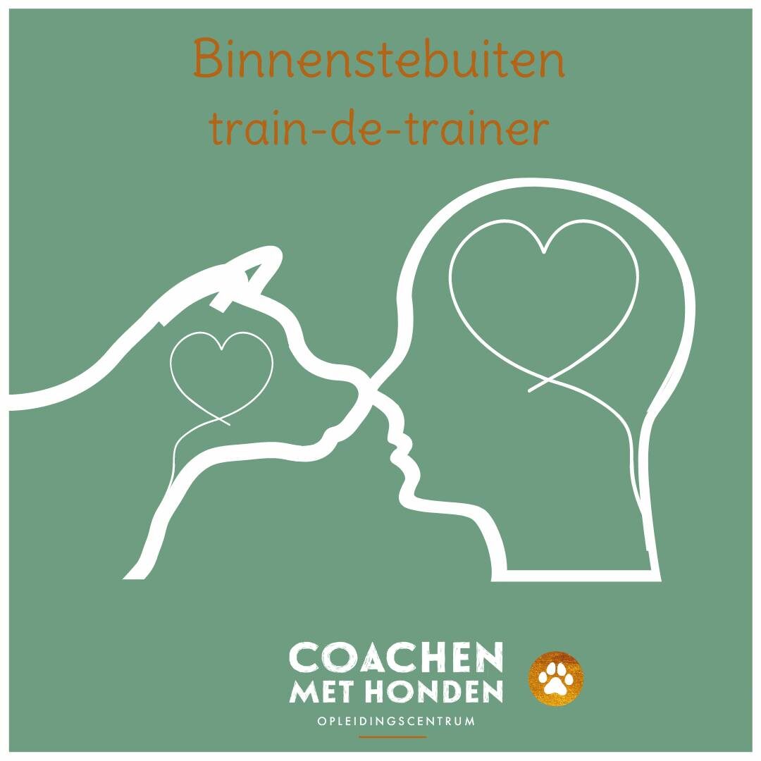 Coachen met Honden