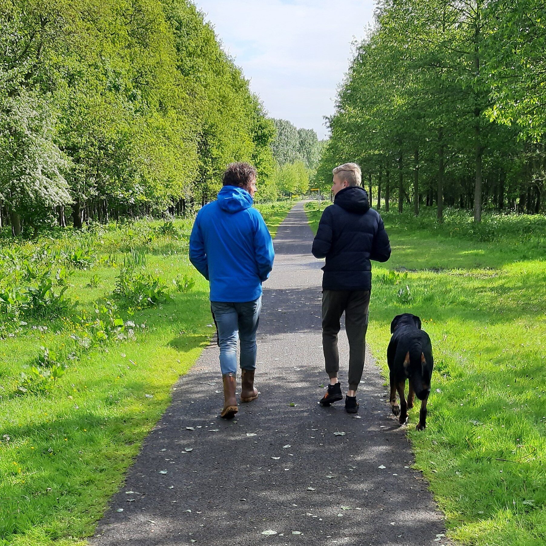 Coachen met Honden