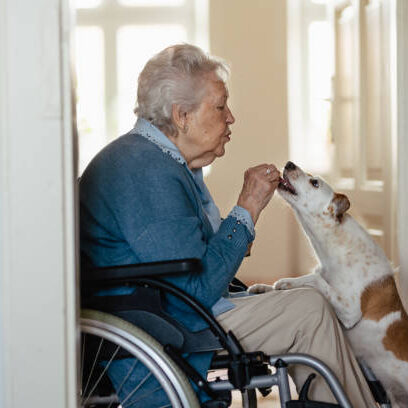 Senior woman on wheelchair enjoying time with her little dog.